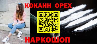 стаф Гатчина