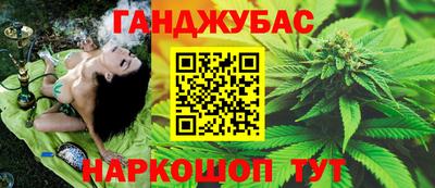 стаф Гатчина