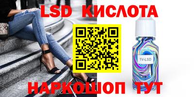 стаф Гатчина