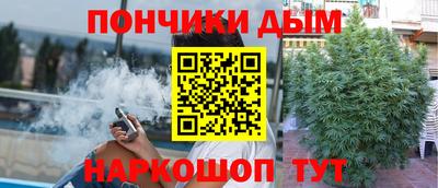 стаф Гатчина