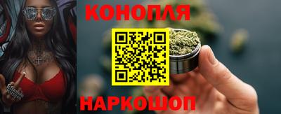 стаф Гатчина