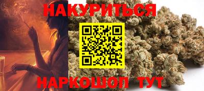 стаф Гатчина