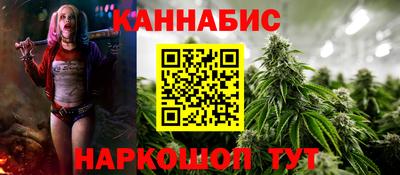 стаф Гатчина