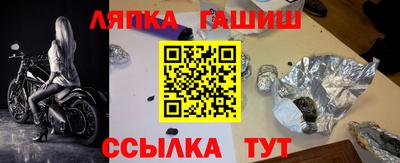 стаф Гатчина