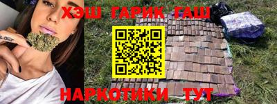 стаф Гатчина