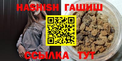 стаф Гатчина